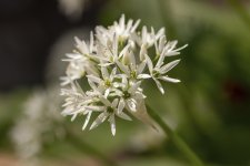 IMG_6759.jpg
