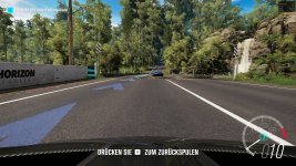 FH3.jpg