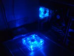 DSC00352.JPG