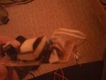 IMG_0199.JPG