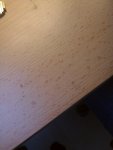 WP_000028.jpg