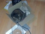 20120130_180005.jpg