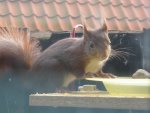 IMG_0310.JPG
