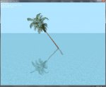 Palm.jpg