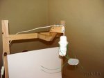 FlyPic (2).jpg