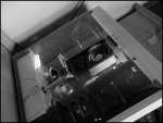 SDC12259.jpg