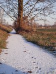 DSC00145.JPG