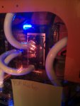 IMG_20120205_220328.jpg