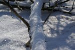 DSC03283_900.jpg