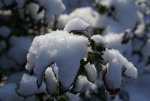 DSC03277_900.jpg