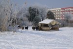 DSC03296_900.jpg