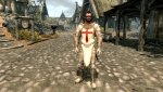Knights Armor2.jpg