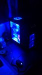 IMAG0121.jpg