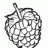 Kill_You_Raspberry
