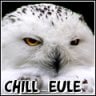 chill_eule