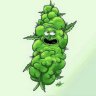KnollenRick