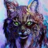 Lynx3689