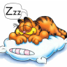 garfield36