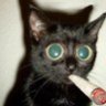 snoop76