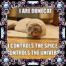 Dunecat