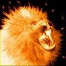 Lion[AUT]