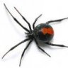 SpiderPC