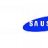 Sausung