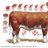 Rindfleisch3
