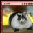 Panzerkatze