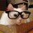 Lotti_the_Cat
