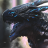 BlackDragon