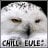 chill_eule