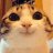 HerrTomcat