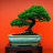 Bonsai