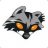 coon