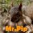 MrPip