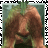 Scypher