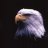 Dark_Eagle