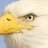 Eagle-Eye
