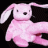 dr.cupido