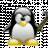 harry_amd