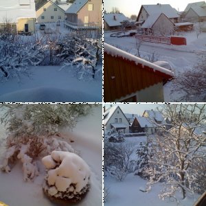 Winterimpressionen