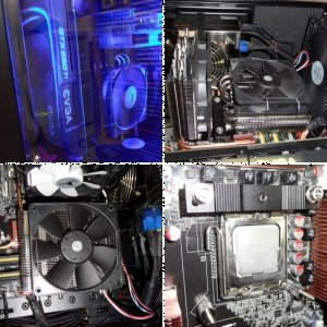 Prolimatec Genesis