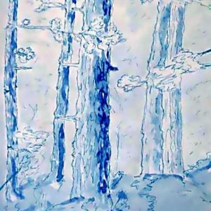 Kälte - Aquarell mit Tinte