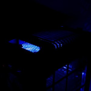 IMG 2434bf