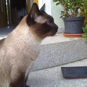 Charly