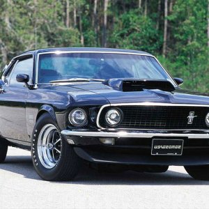 Mustang