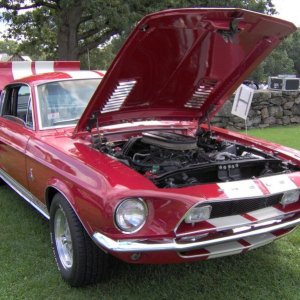 792px 1968 Shelby GT350