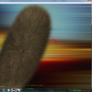 Furmark 1