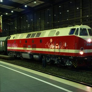 119 158 Zoo 7 9 03 morgens